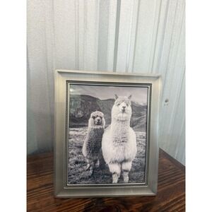 Llama Print In Real Glass Frame with Pewter Finish 12x10 Frame Ready to Hang